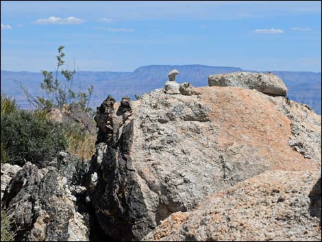 Jumbo Springs Wilderness Area