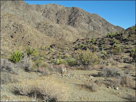 Jumbo Springs Wilderness Area