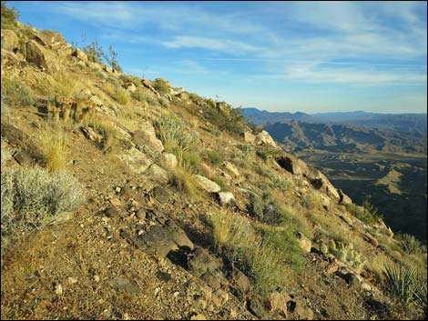 Jumbo Springs Wilderness Area