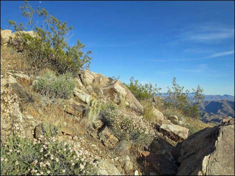 Jumbo Springs Wilderness Area