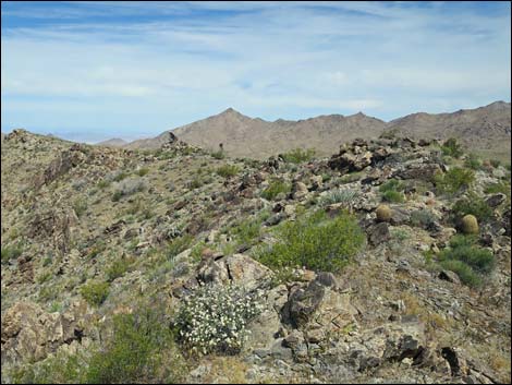 Jumbo Springs Wilderness Area