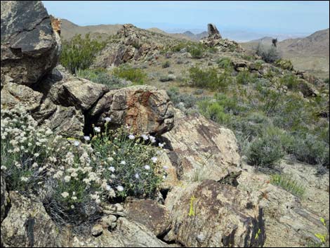 Jumbo Springs Wilderness Area