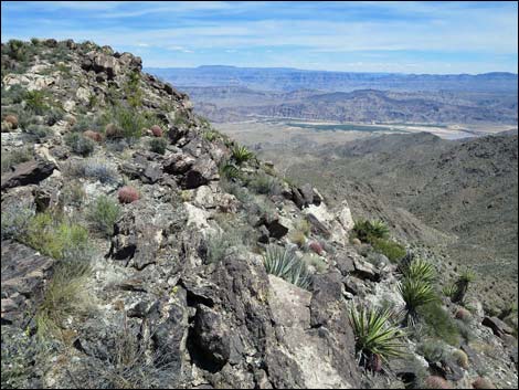 Jumbo Springs Wilderness Area