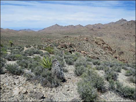 Jumbo Springs Wilderness Area