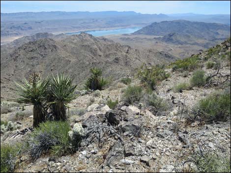 Jumbo Springs Wilderness Area