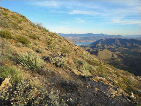 Jumbo Springs Wilderness Area