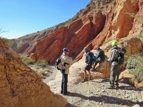 Lime Canyon Wilderness Area