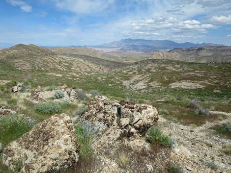 Lime Canyon Wilderness Area