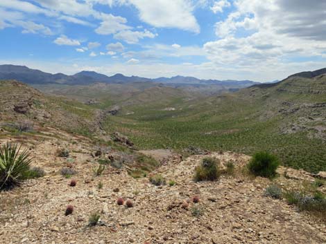 Lime Canyon Wilderness Area