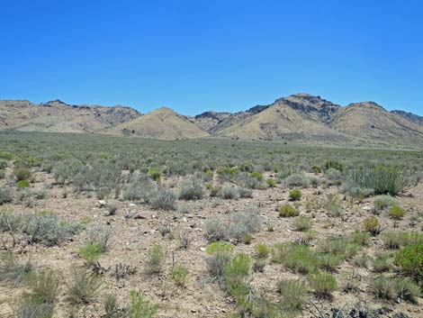 Meadow Valley Range Wilderness Area