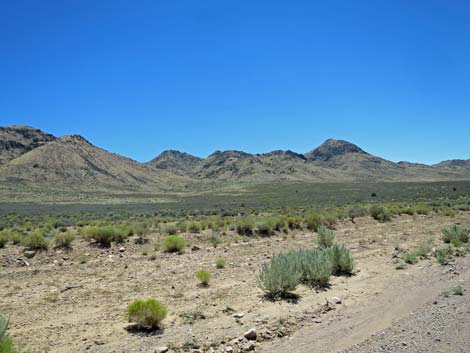 Meadow Valley Range Wilderness Area