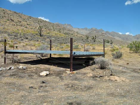 Mormon Mountains Wilderness Area