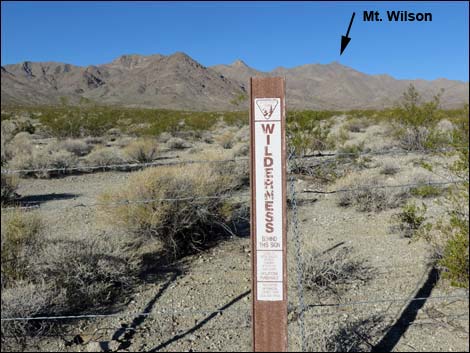 Mt. Wilson Wilderness Area