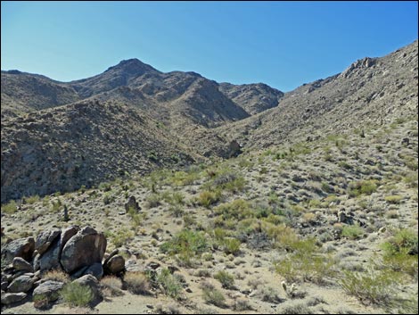 Mt. Wilson Wilderness Area