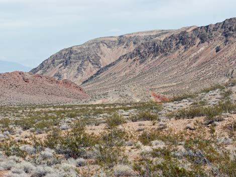 Pinto Valley Wilderness Area